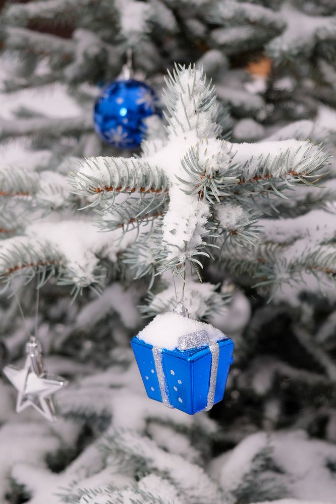 Фотография автора Александр Высоцкий