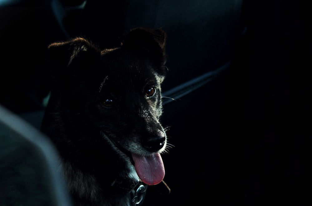 Photograph by Мария Самолевич