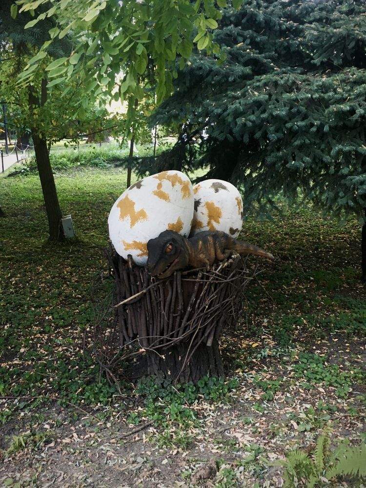 Photograph by Полина Рыжакова