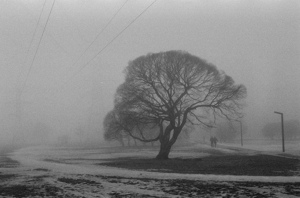 Фотография автора Лев Шутов