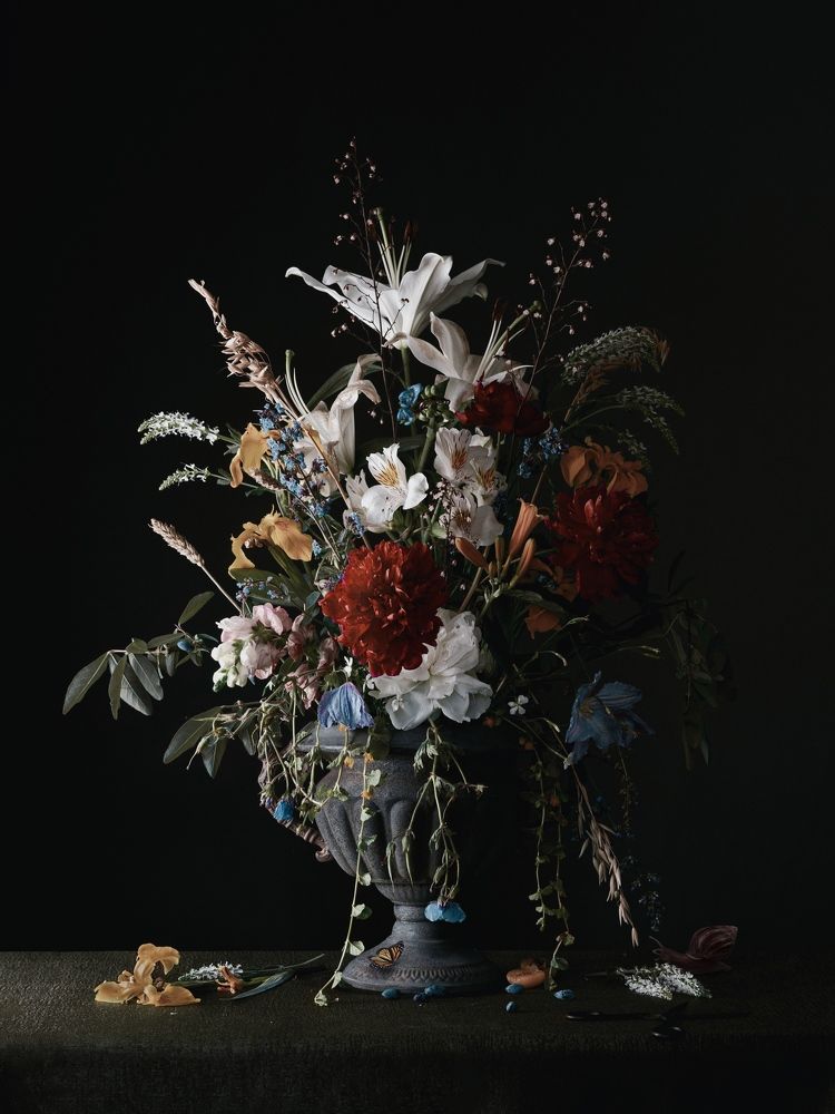 Photograph by Елена Бородина