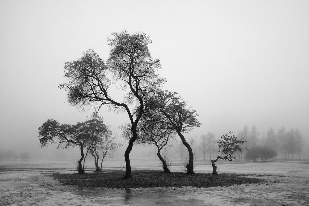 Photograph by Лев Шутов