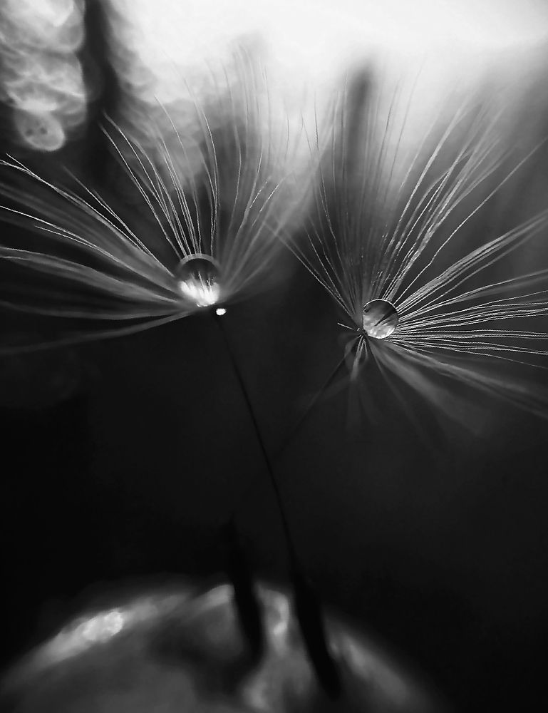 Photograph by Наталья Шумилова