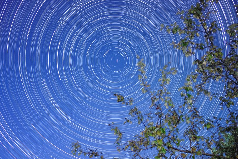 Photograph by Татьяна Котова