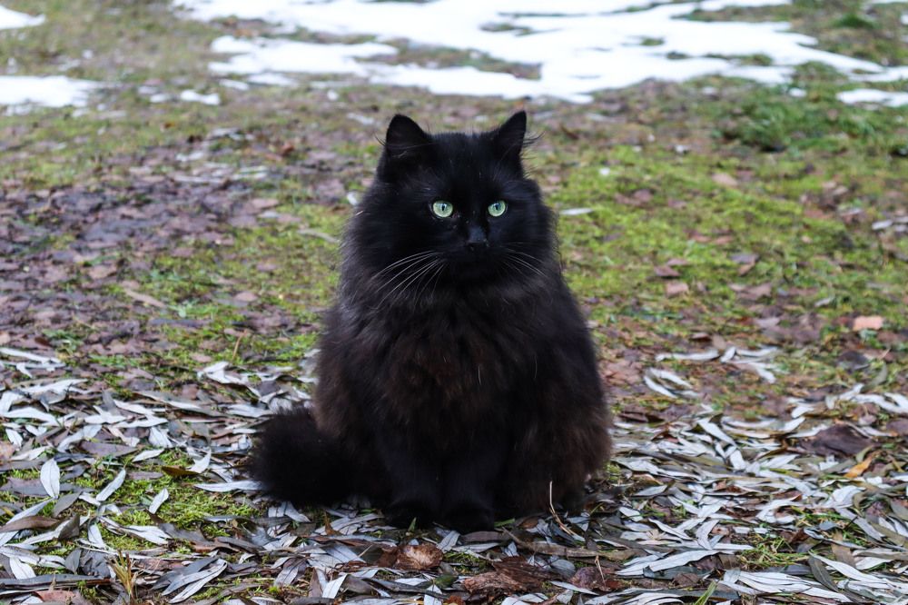 Photograph by Мария Самолевич