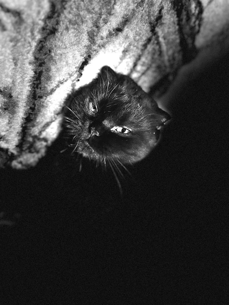 Photograph by Анна Ганькова