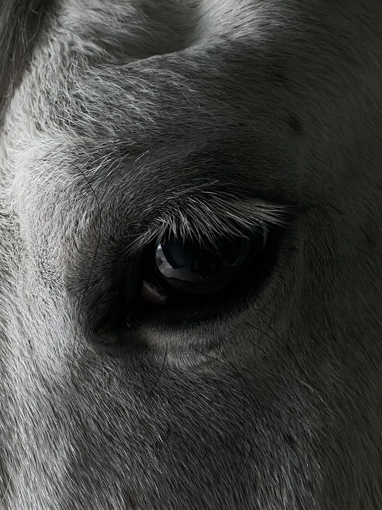 Photograph by Марина Фомичева