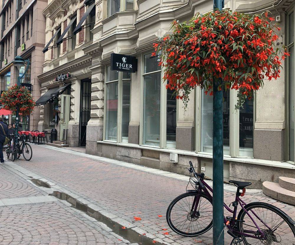 Фотография автора Юлия Новоселова