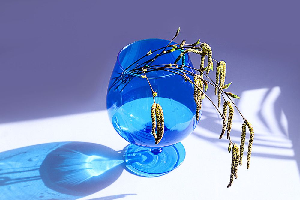 Photograph by Мария Самолевич