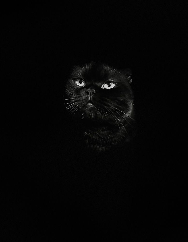 Photograph by Анна Ганькова