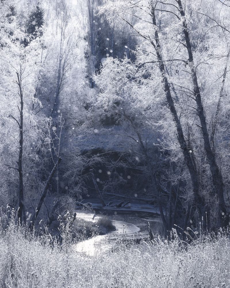 Фотография автора Dmitry Medyancev