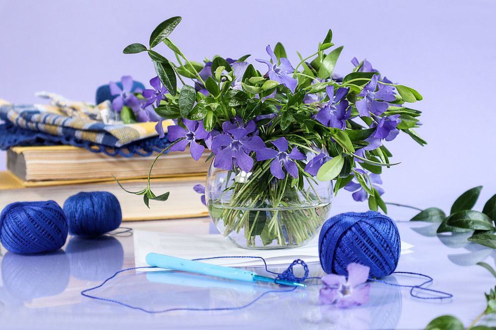 Photograph by Мария Самолевич