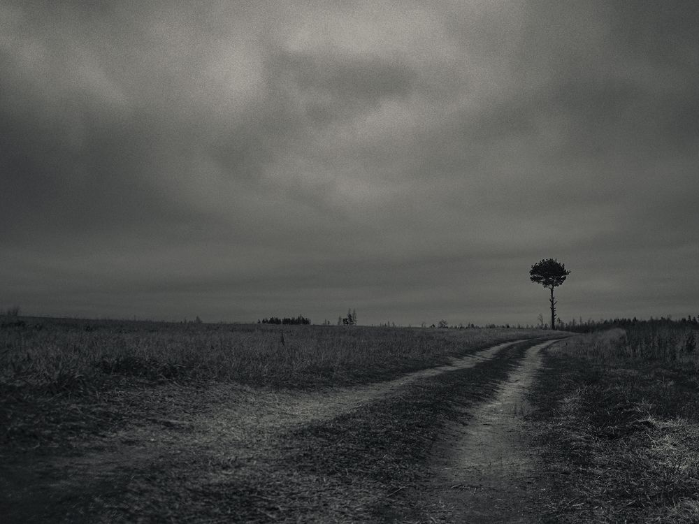 Photograph by Aliaksei Shandalin