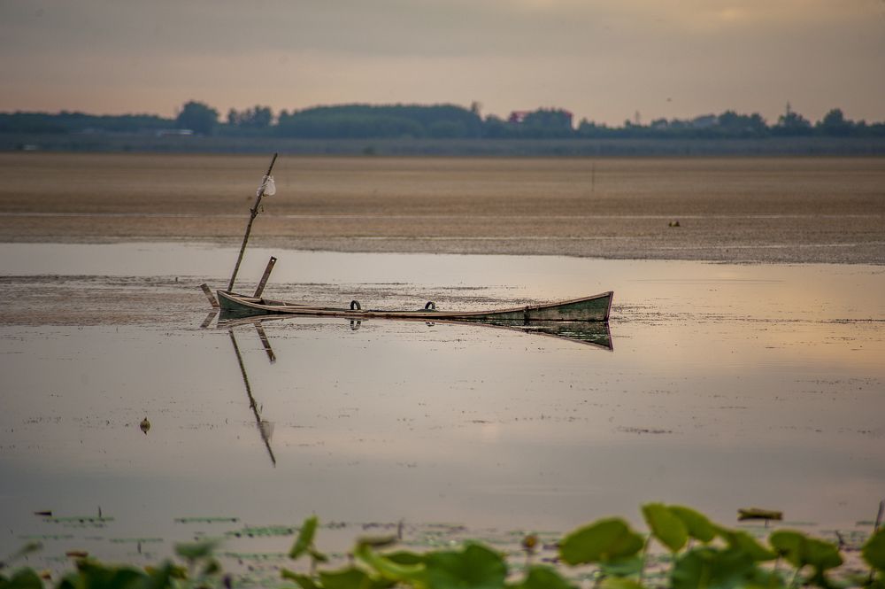 Photograph by DAMOUN POURNEMATI