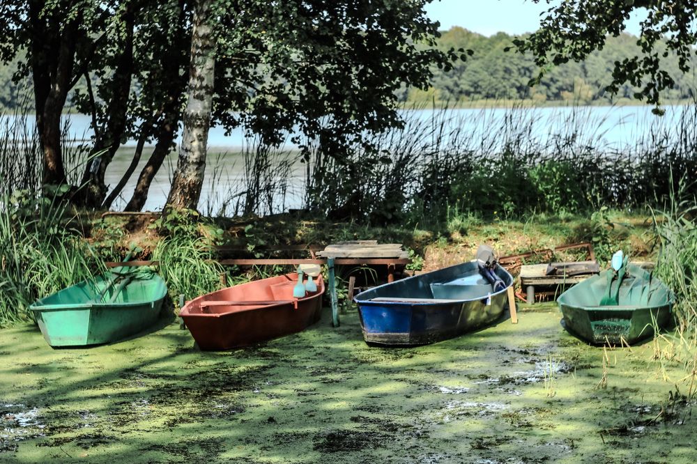 Photograph by Елена Квасова