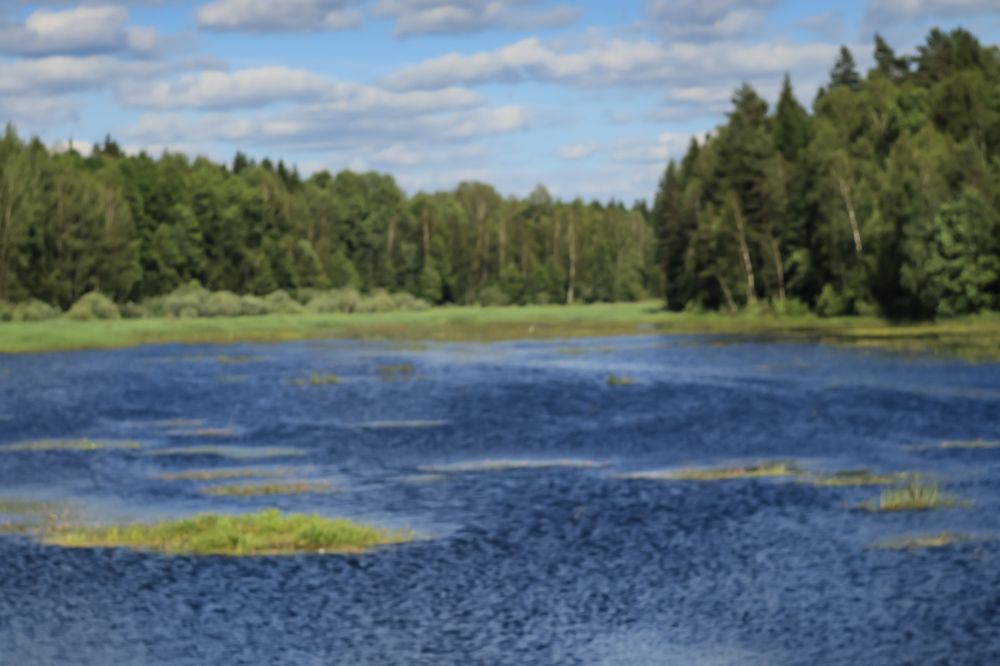 Photograph by Елена Квасова