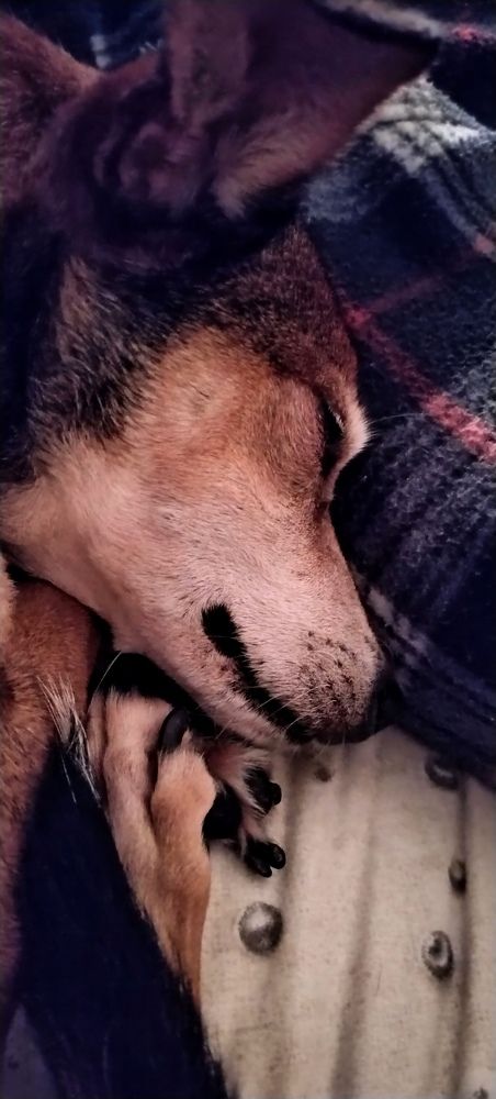 Photograph by Елена Егорова