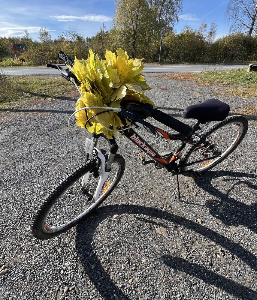 Photograph by Татьяна Михайловна