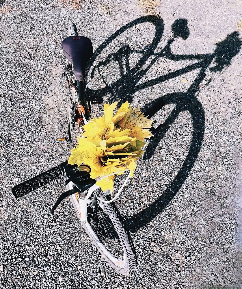 Photograph by Татьяна Михайловна