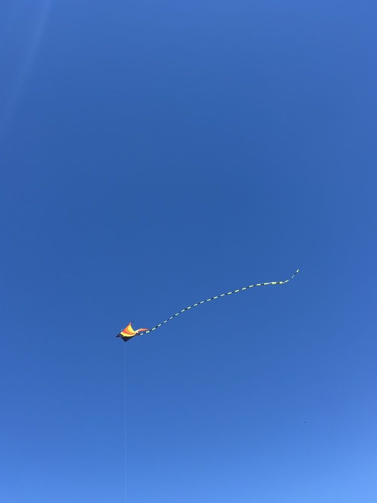 Photograph by Александра Тимошенко