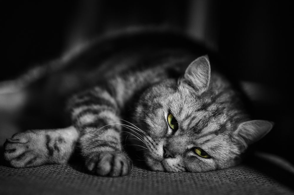 Photograph by Нуждин Андрей