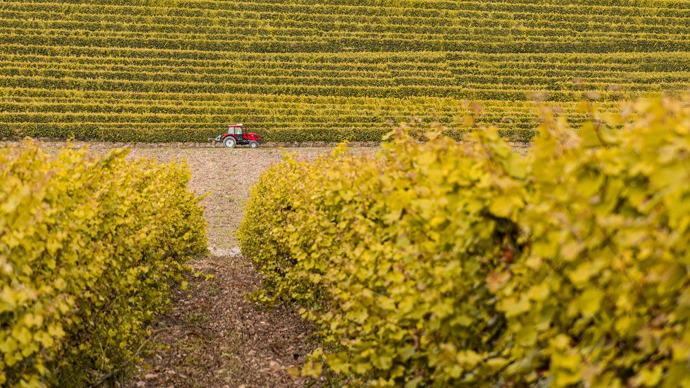 Photograph by Руслан Пелин