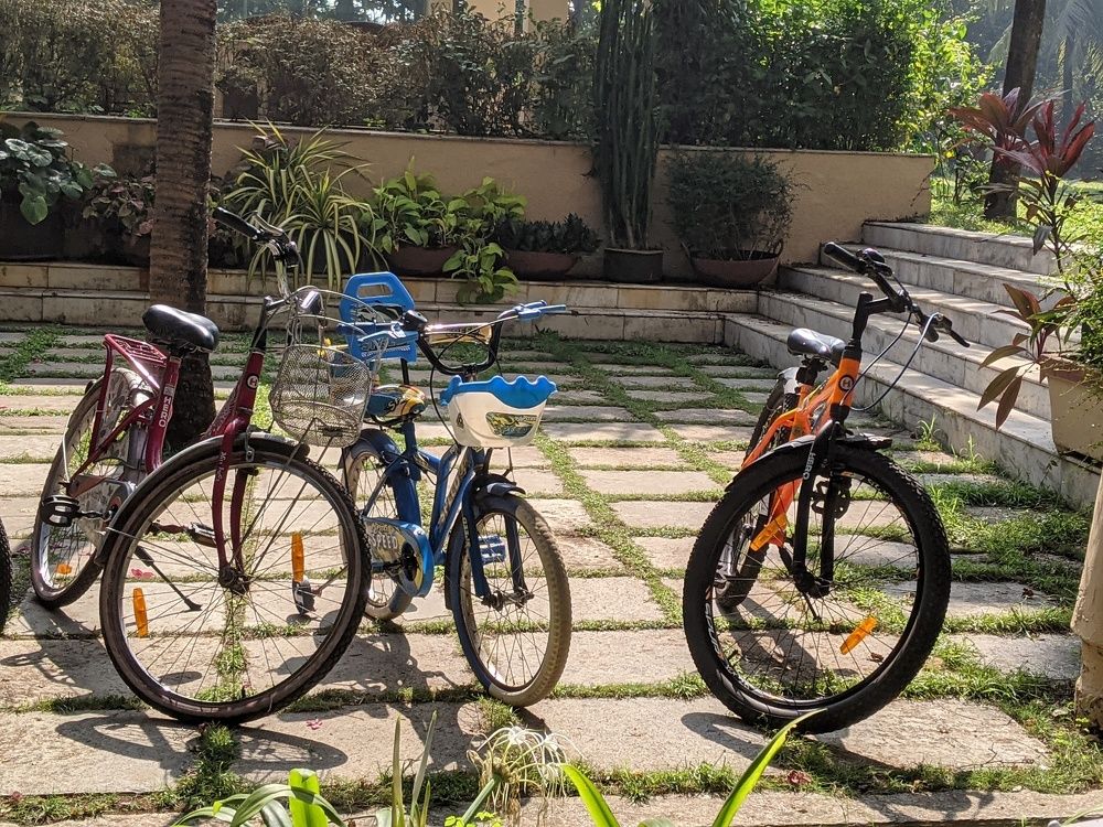 Фотография автора nisha de sousa