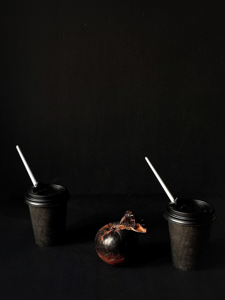 Photograph by Galina Novichkova