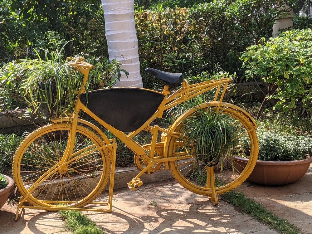 Фотография автора nisha de sousa