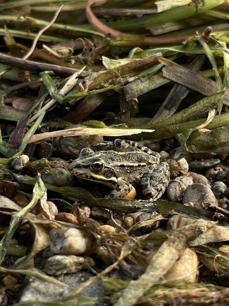 Photograph by Ника Клименко