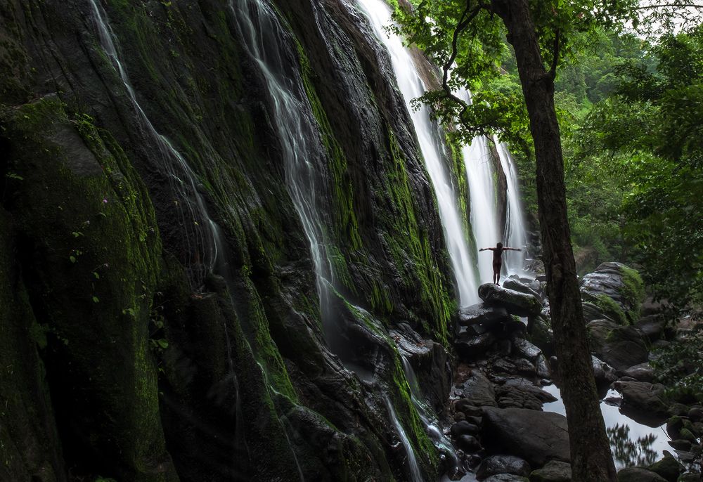 Фотография автора Abie Davies Thekkanath