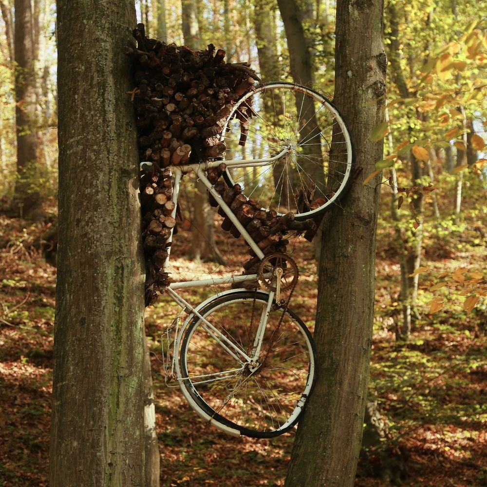 Photograph by Maxim Lip