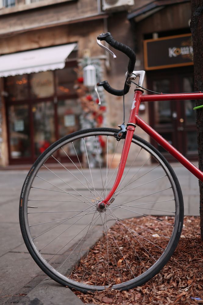 Photograph by Maxim Lip