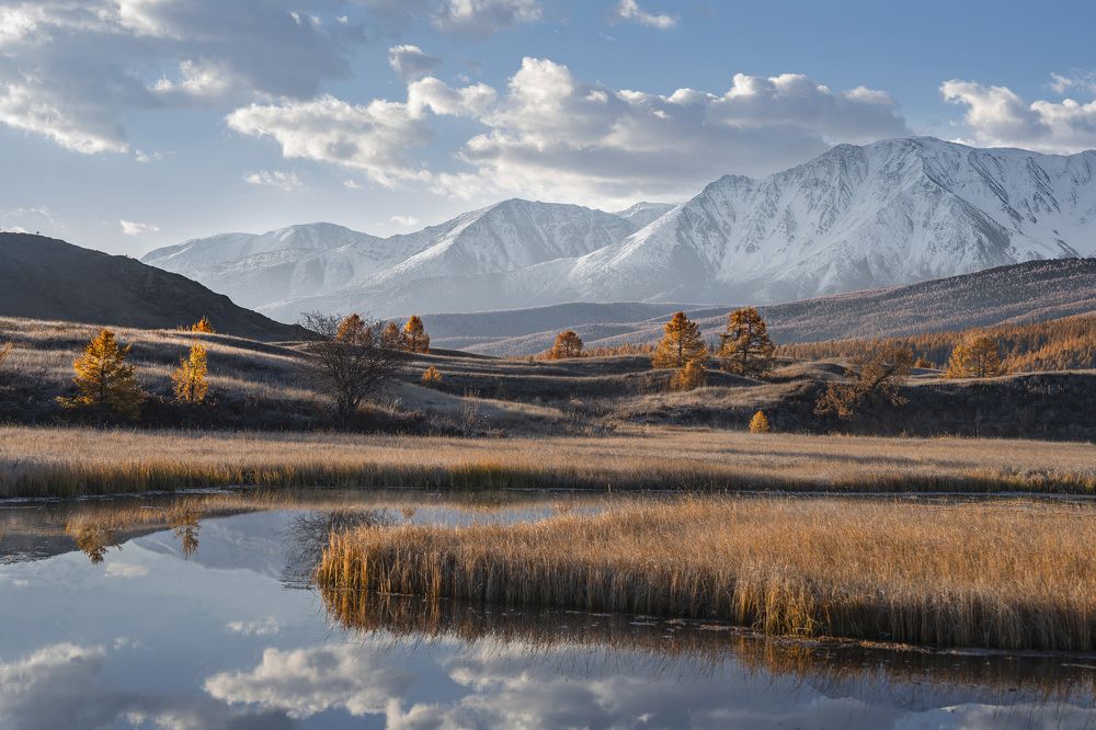 Photograph by Галина