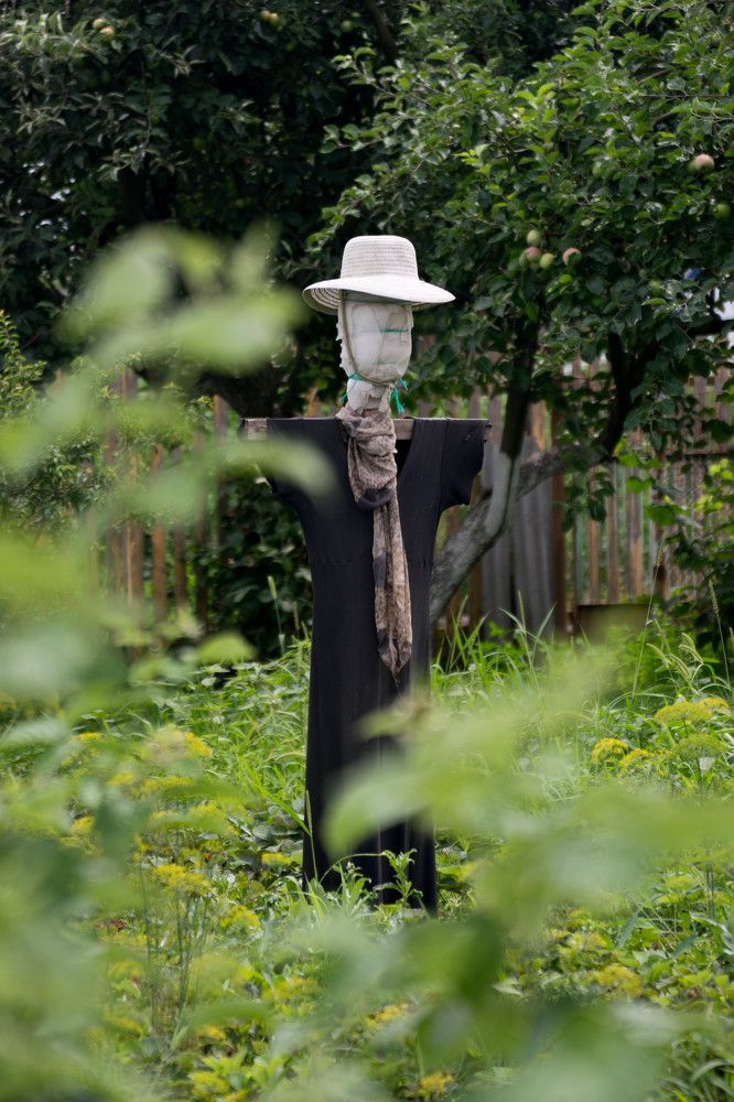 Photograph by Наталья Вялых