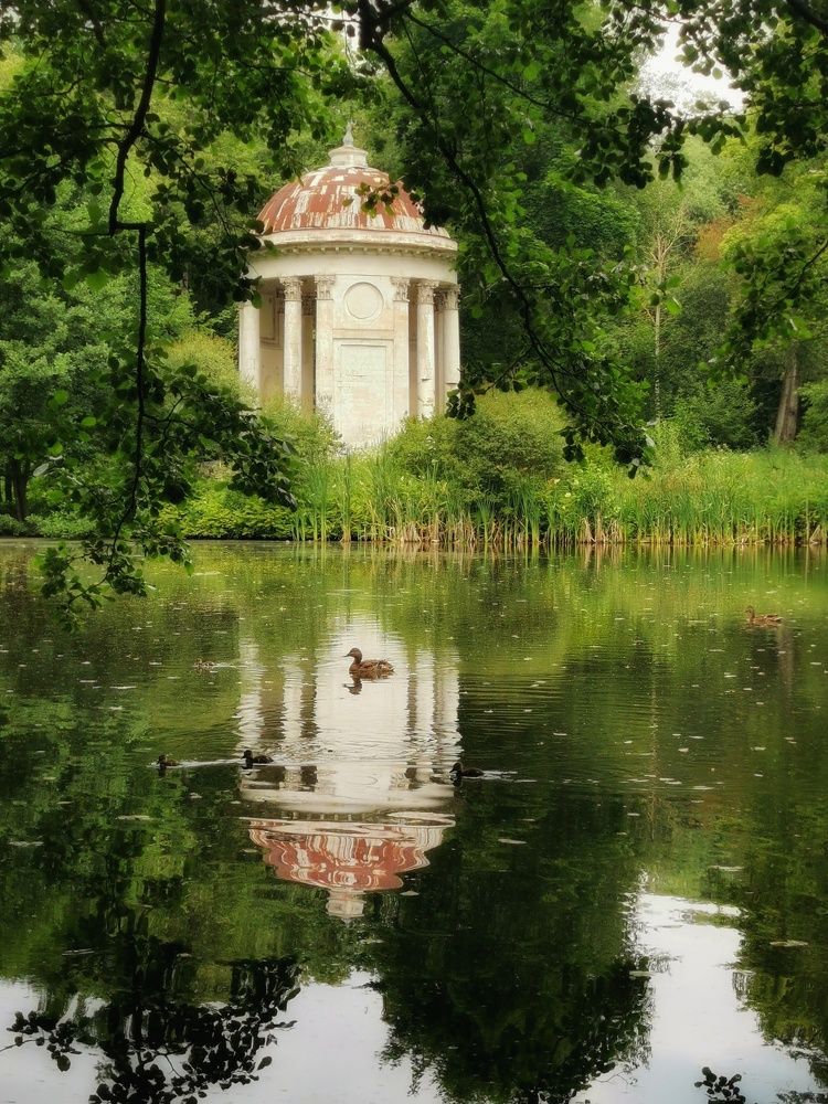 Фотография автора Андрей Шестаков