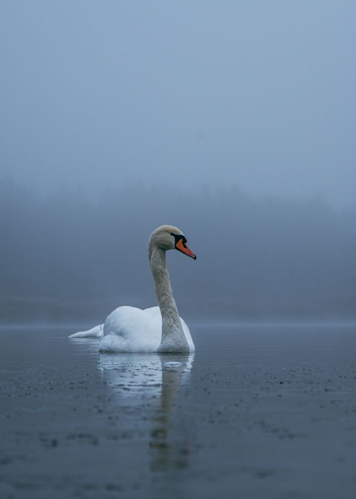 Photograph by Алексей Крукович