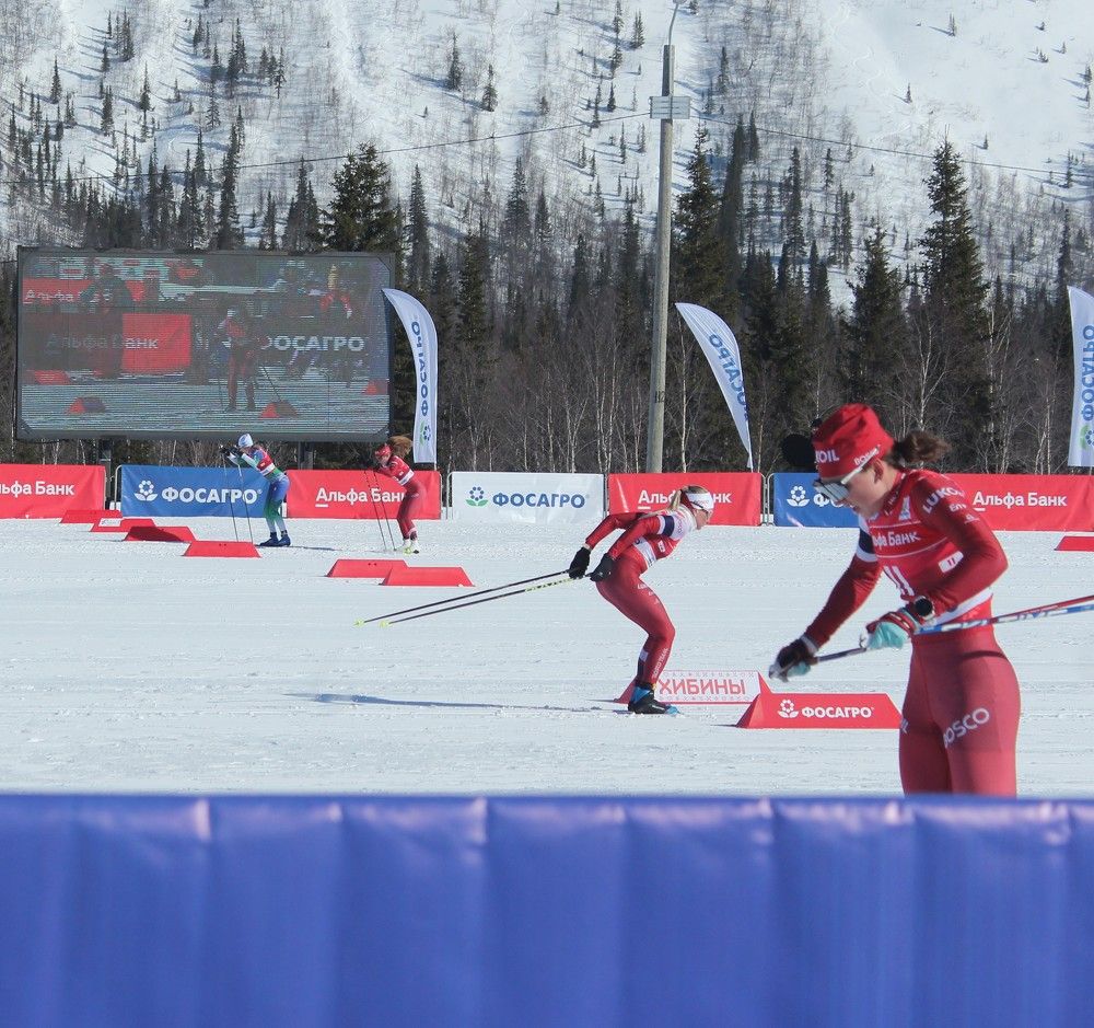 Photograph by Светлана Зотова