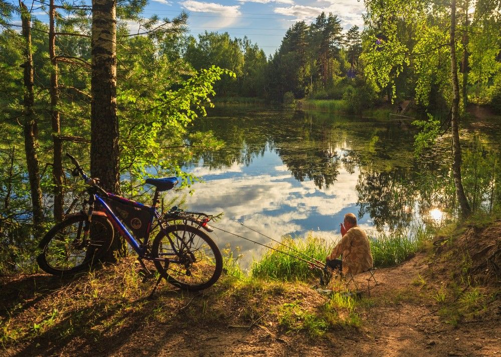 Photograph by Александр Литвинов