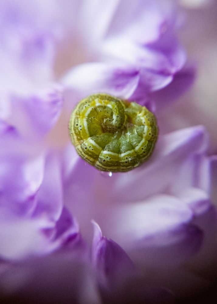 Photograph by Алексей Крукович