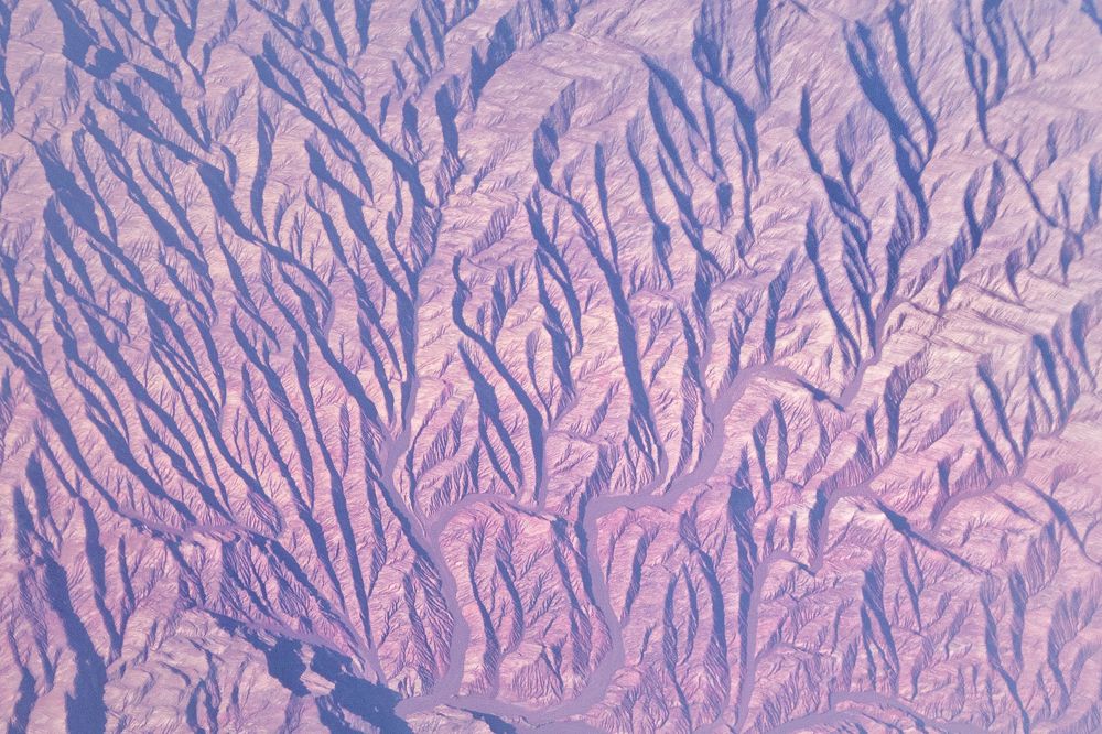 Photograph by Elena V