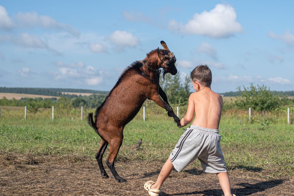 Photograph by наталья залогина