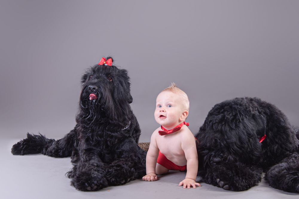 Photograph by наталья залогина