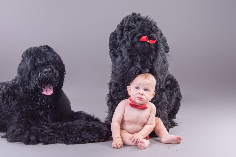 Photograph by наталья залогина