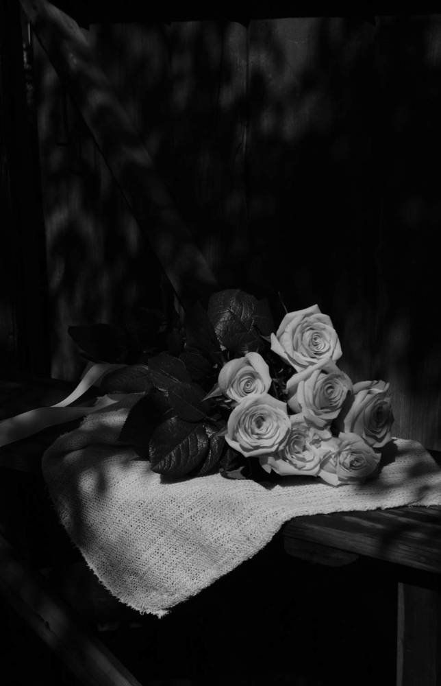 Photograph by Яна Истоцкая