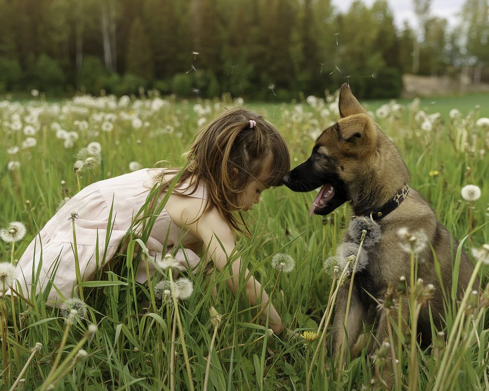 Photograph by Anna Sindikayeva