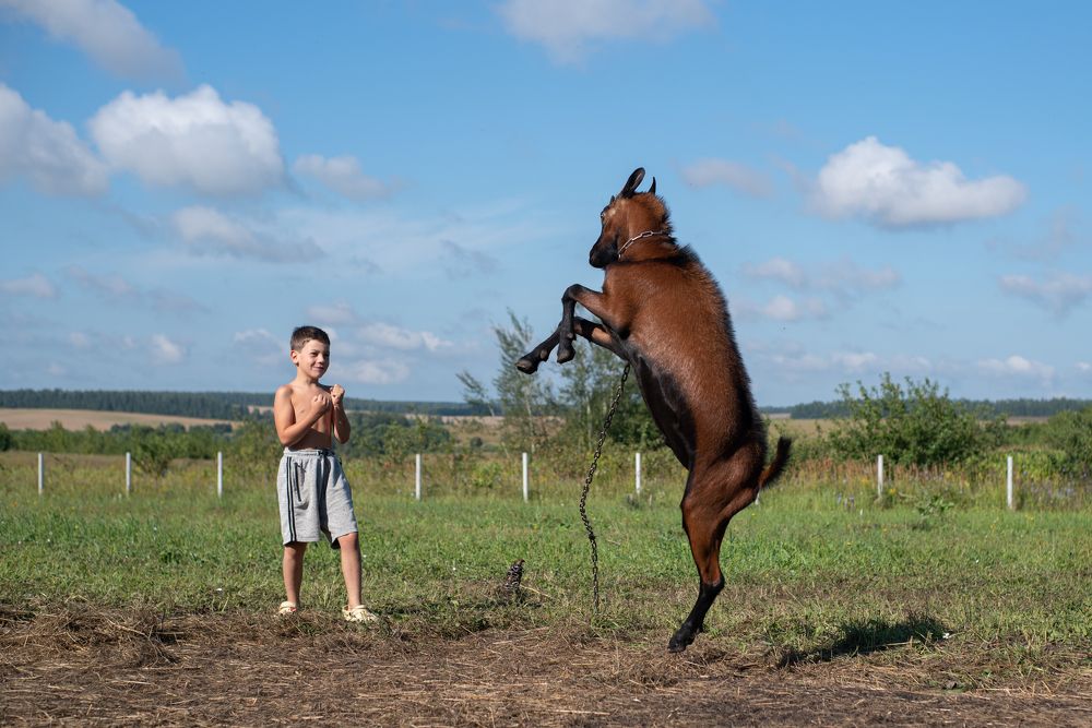 Photograph by наталья залогина