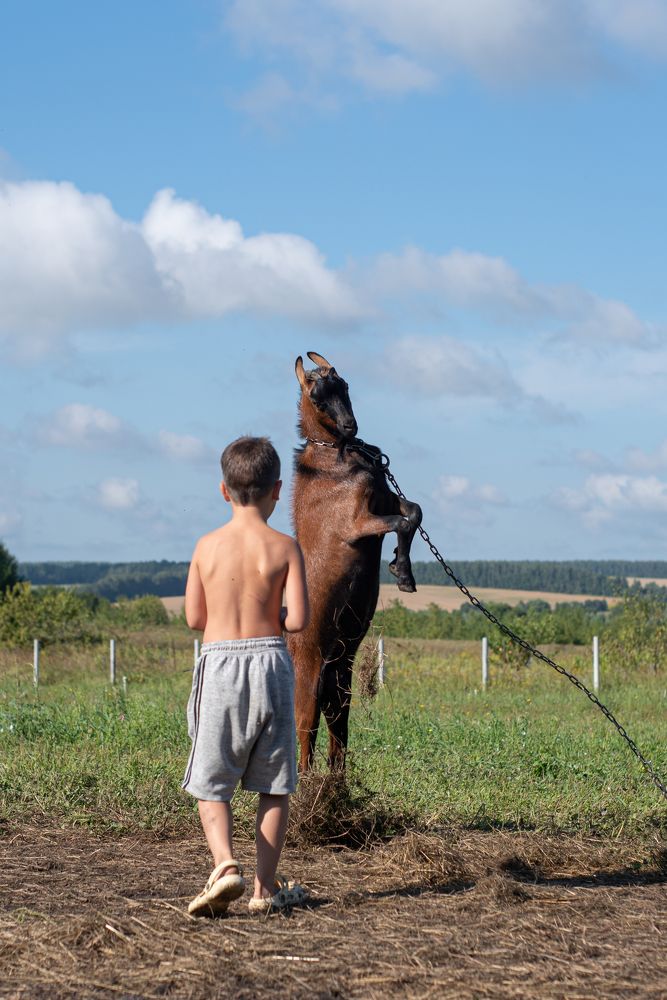 Photograph by наталья залогина