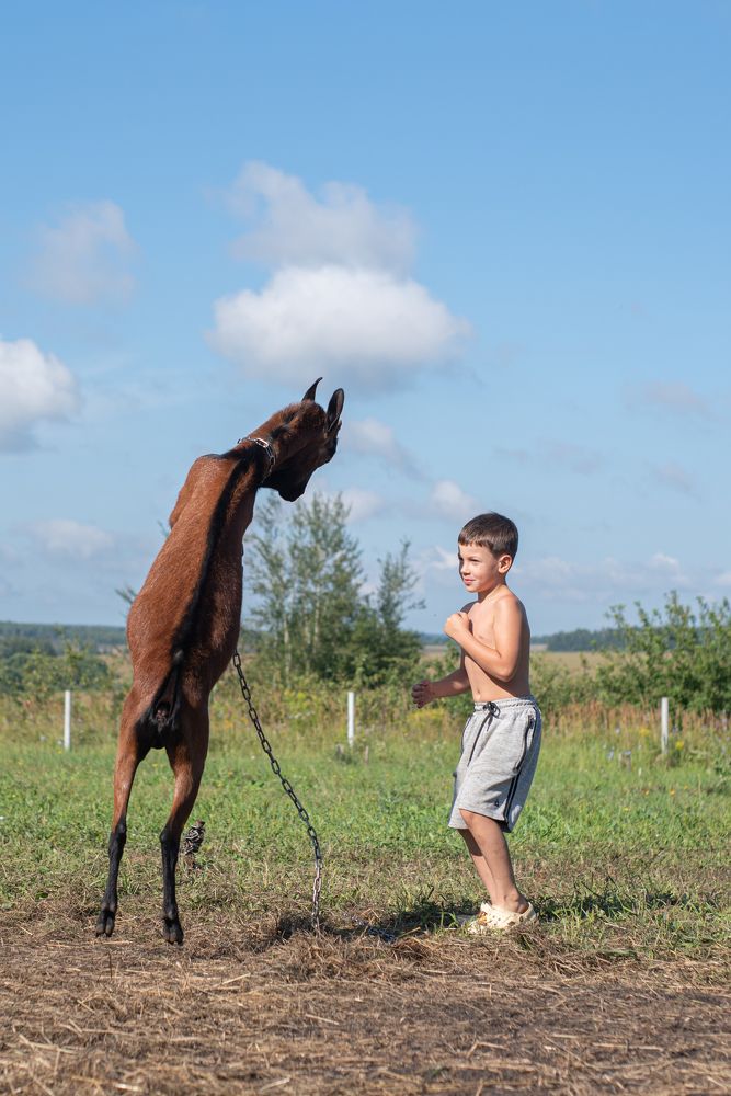 Photograph by наталья залогина