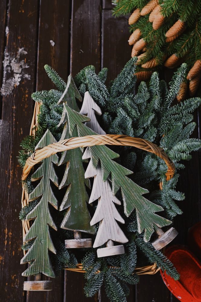 Photograph by Tatiana